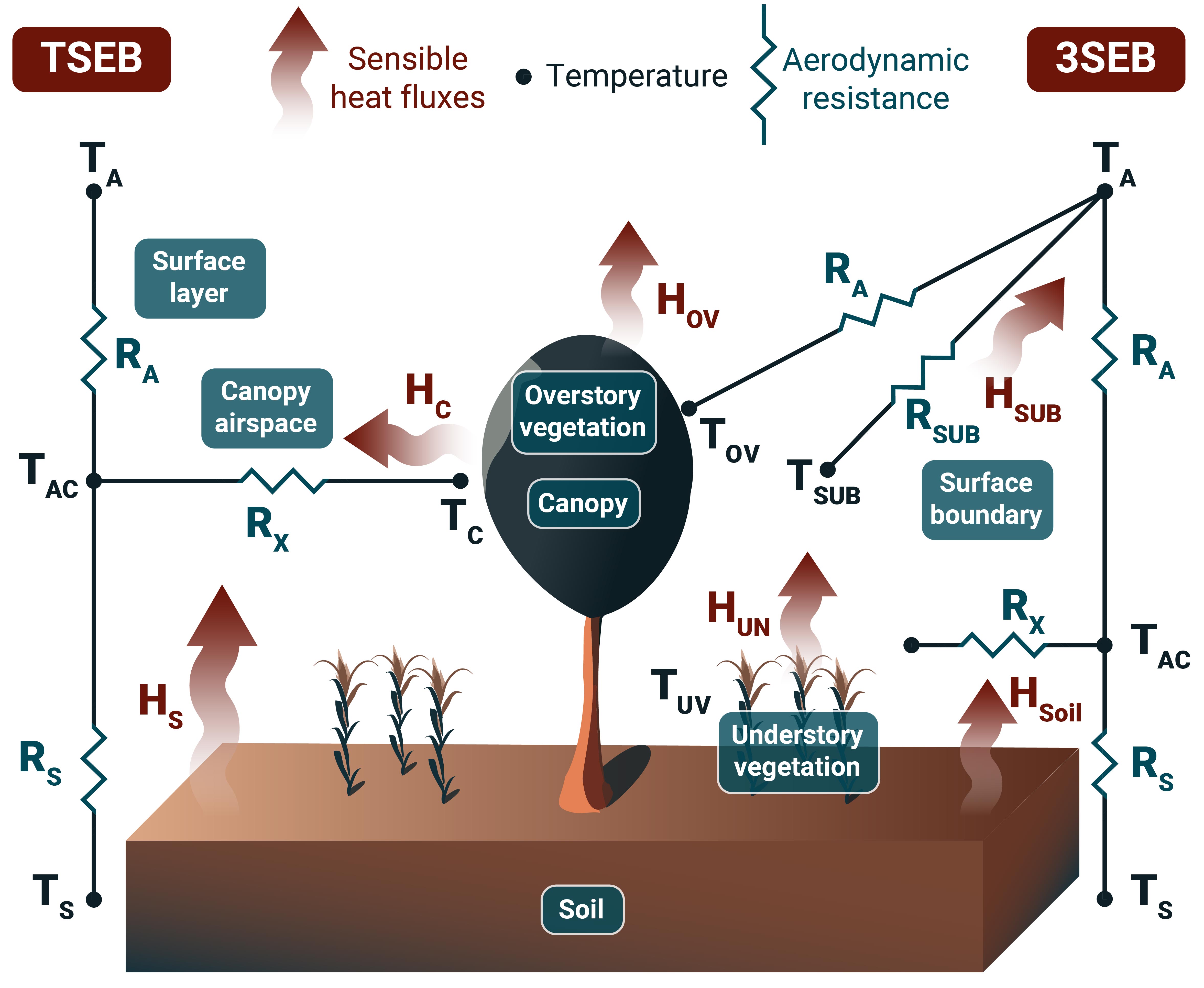 Actual evapotranspiration modelling